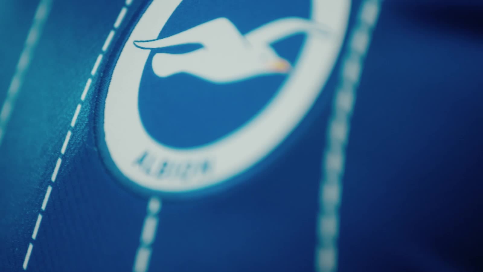Brighton & Hove Albion